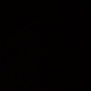 Meet your Posher, Karli